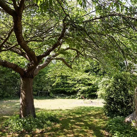 14243-nykobing-sj-bosserup-strand-1 * Bosserup